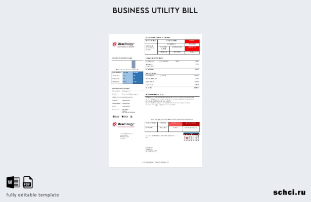 цифровая загрузка США Колорадо XcelEnergy шаблон версии счета за коммунальные ус